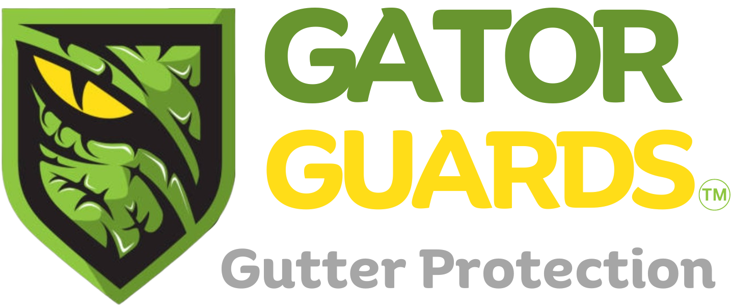 Gutter-Protection-Transparent